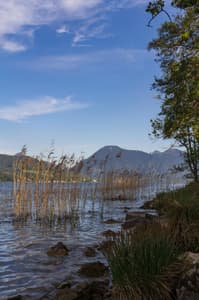 Lake Tegernsee near Holz