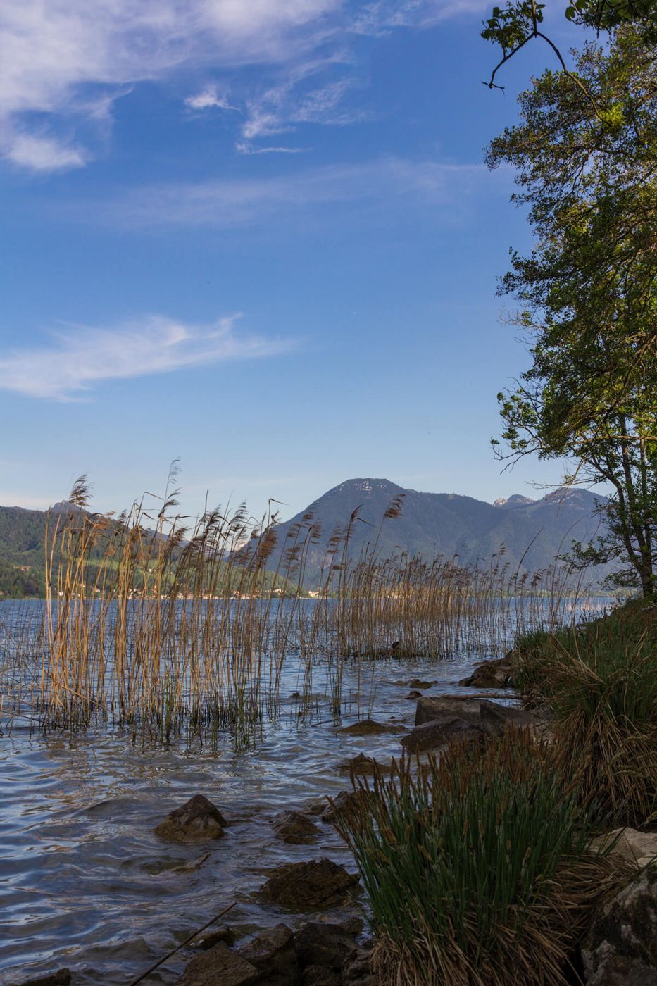 Lake Tegernsee near Holz, Germany
