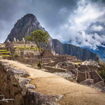 Machu Picchu leading path to the mountain, Peru