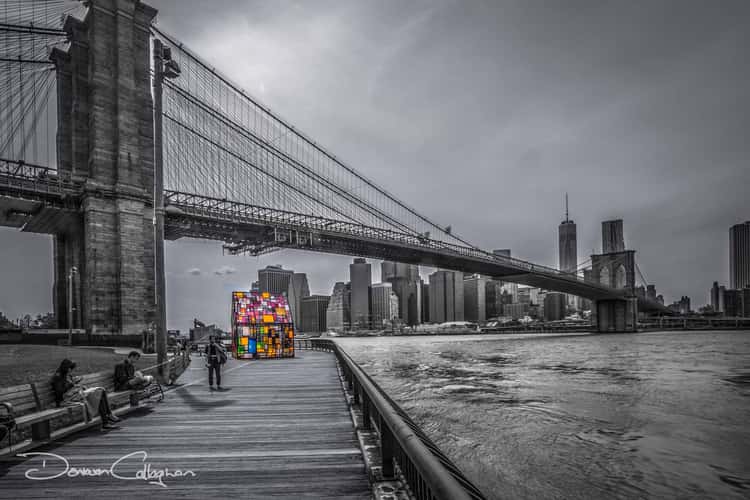 Brooklyn Bridge Black & White