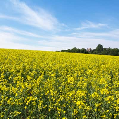 near Fürsteneck (castle view), Germany