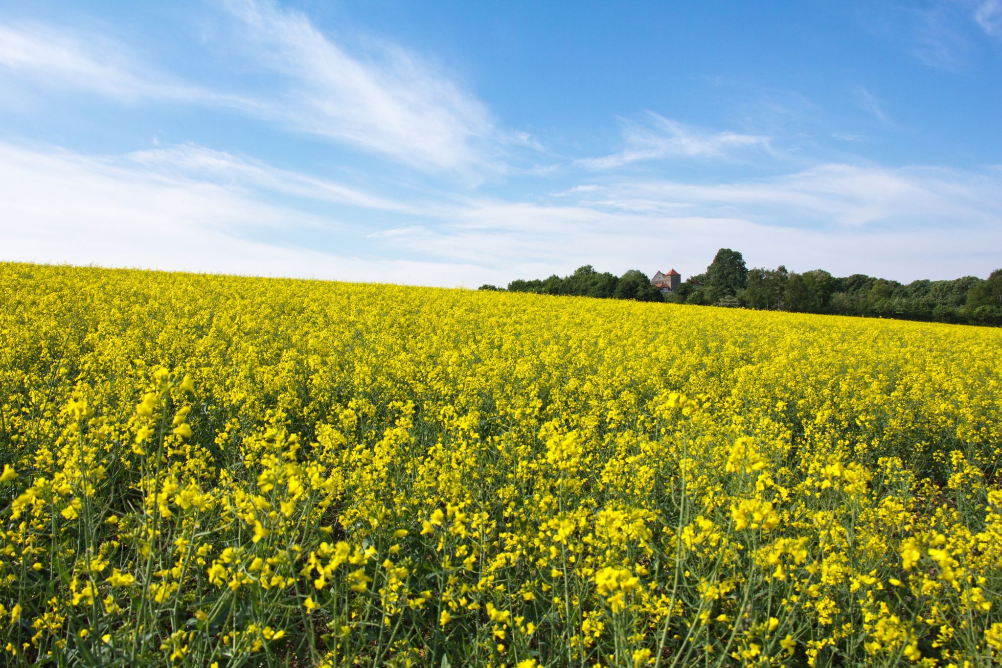 near Fürsteneck (castle view), Germany