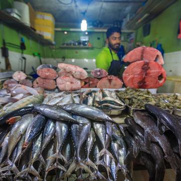 Nuwara Eliya Fish market, Sri Lanka