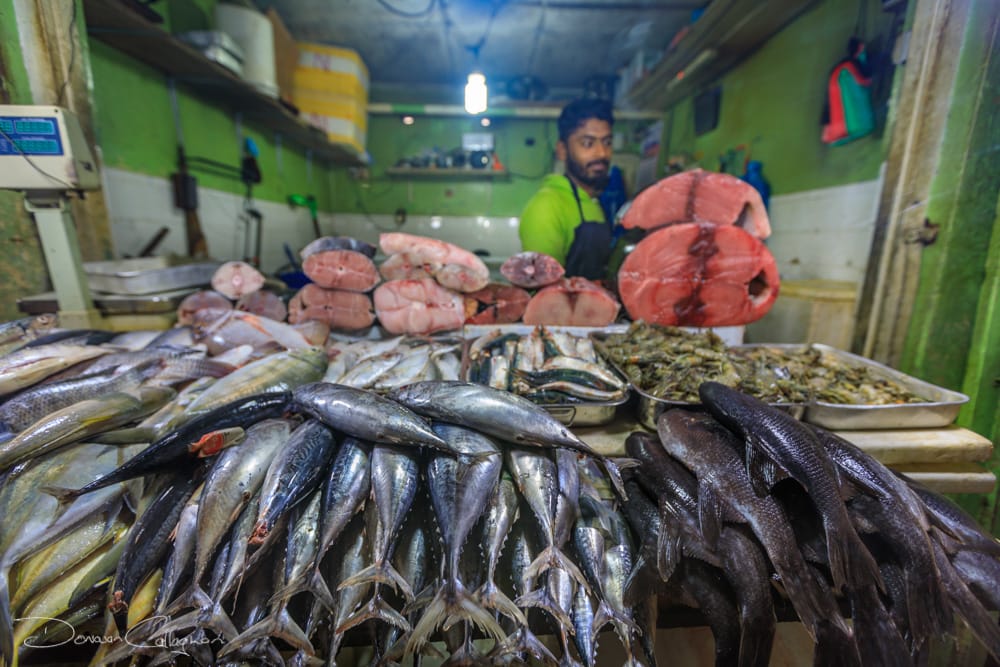Nuwara Eliya Fish market, Sri Lanka