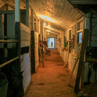 Nuwara Eliya Race Course stables, Sri Lanka