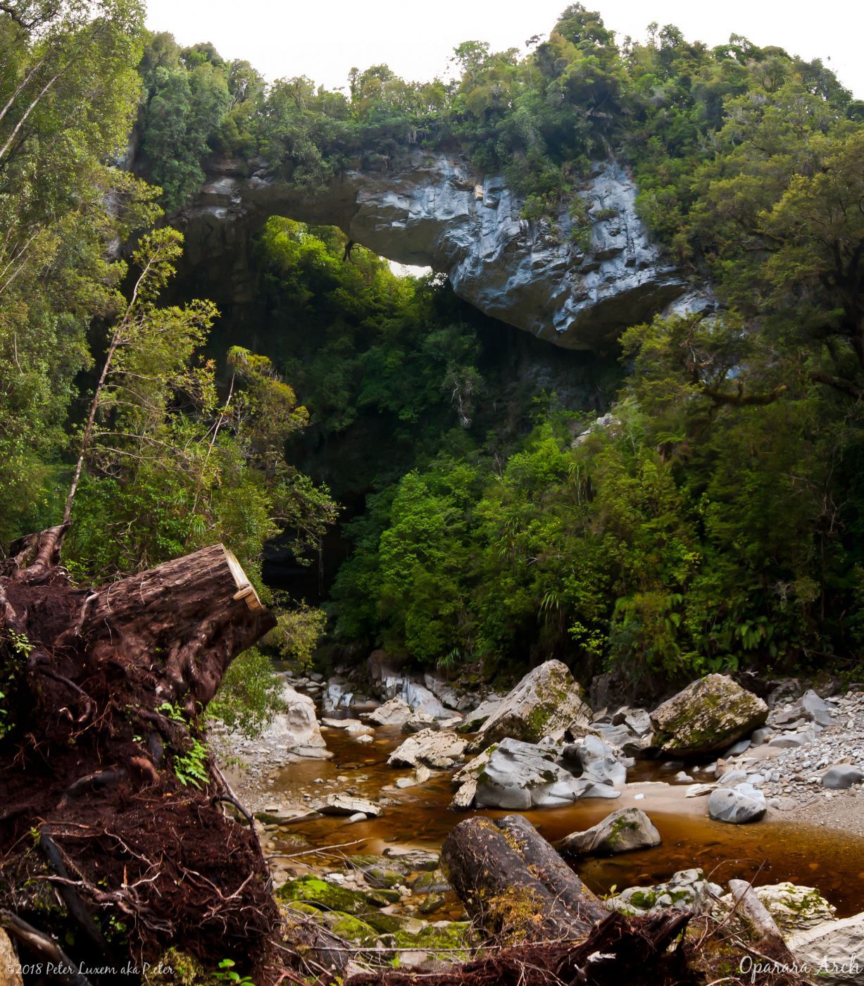 Oparara Arch, New Zealand