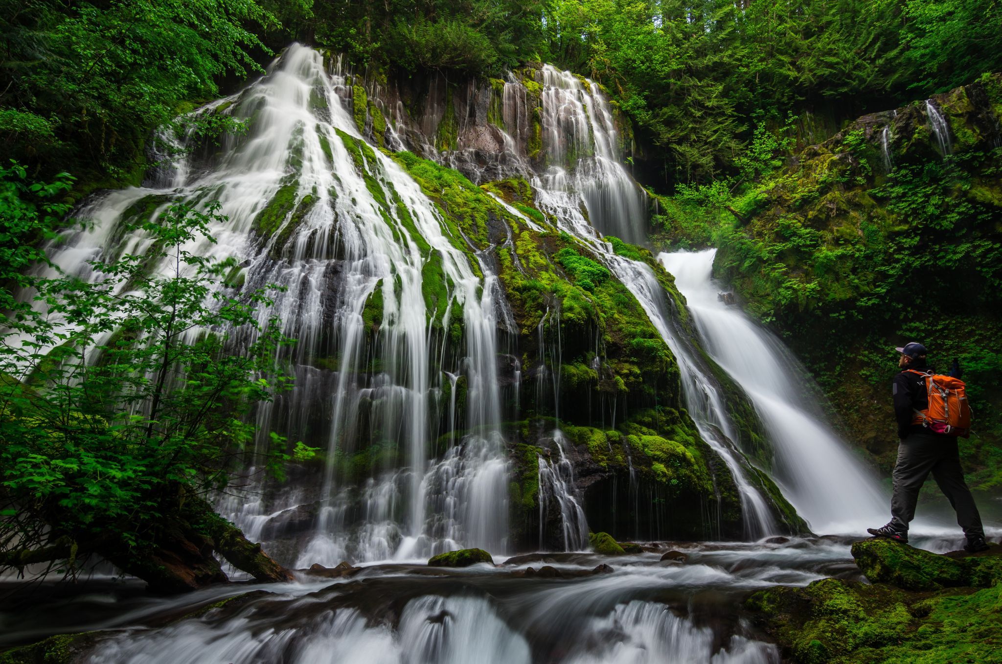 Panther Creek Falls, USA