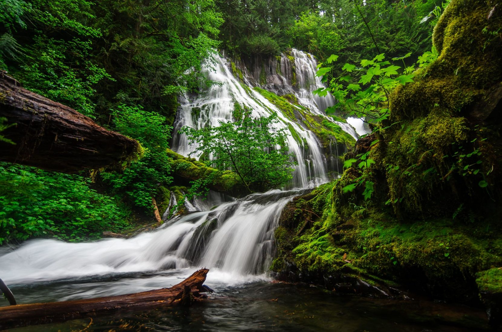 Panther Creek Falls, USA