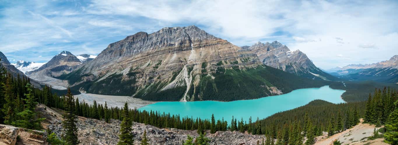 Peyto Lake Overview from Bow Summit