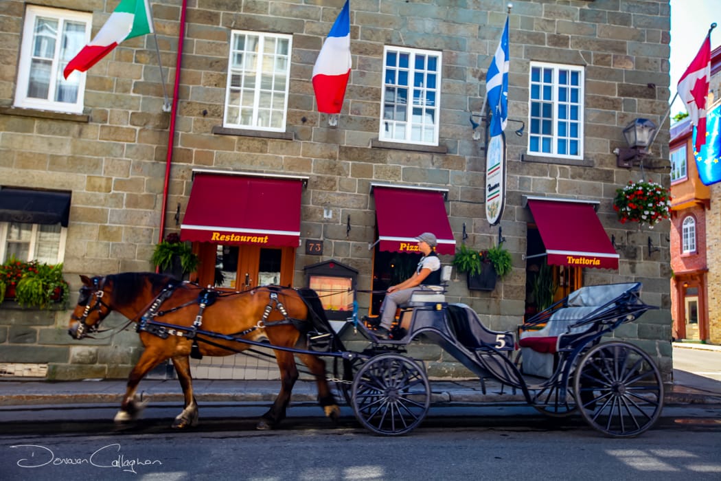 Quebec tourist horse & Coach, Canada