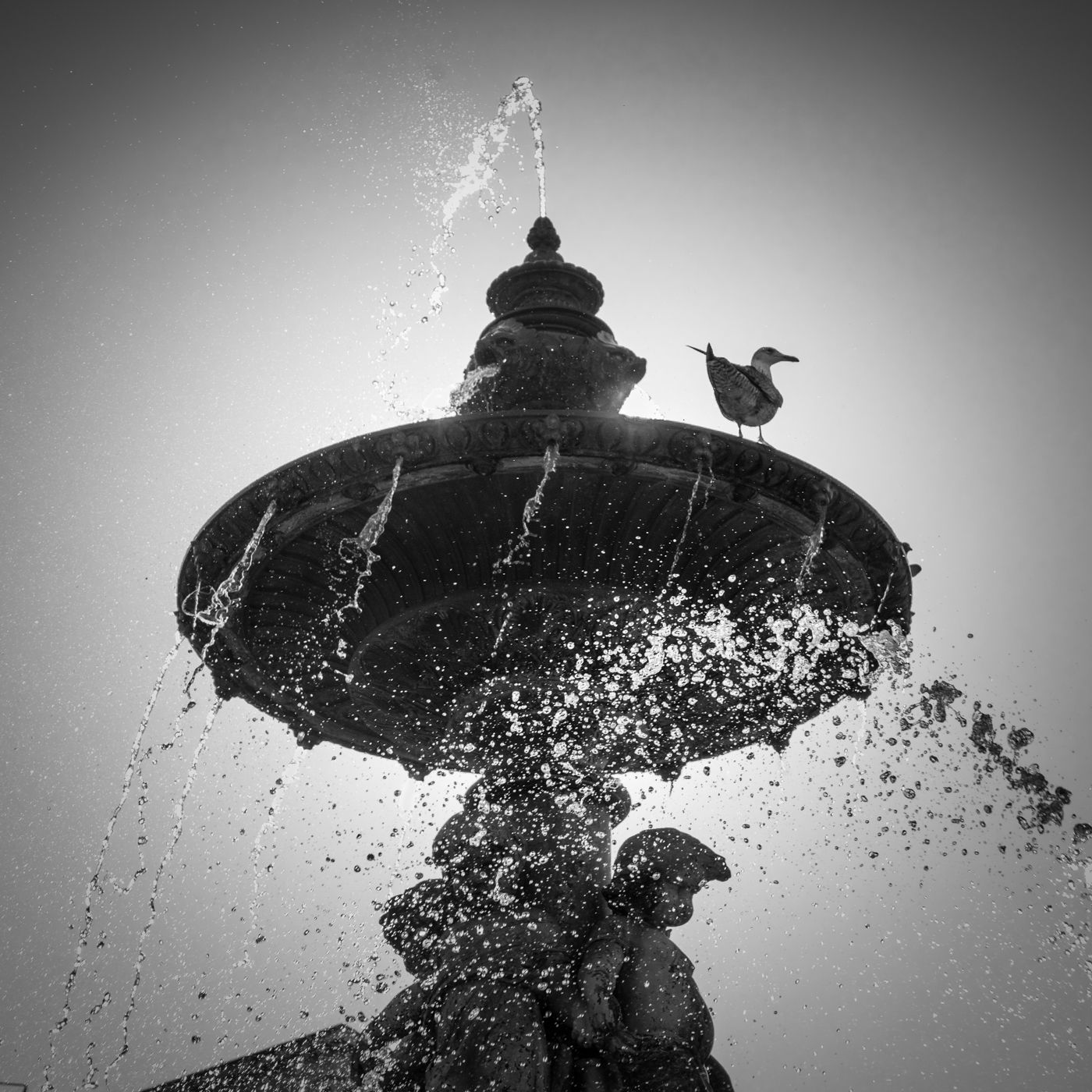 Rossio Fountain, Lisbon, Portugal