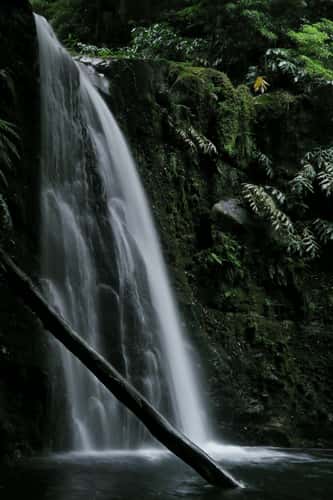 Salto Do Prego