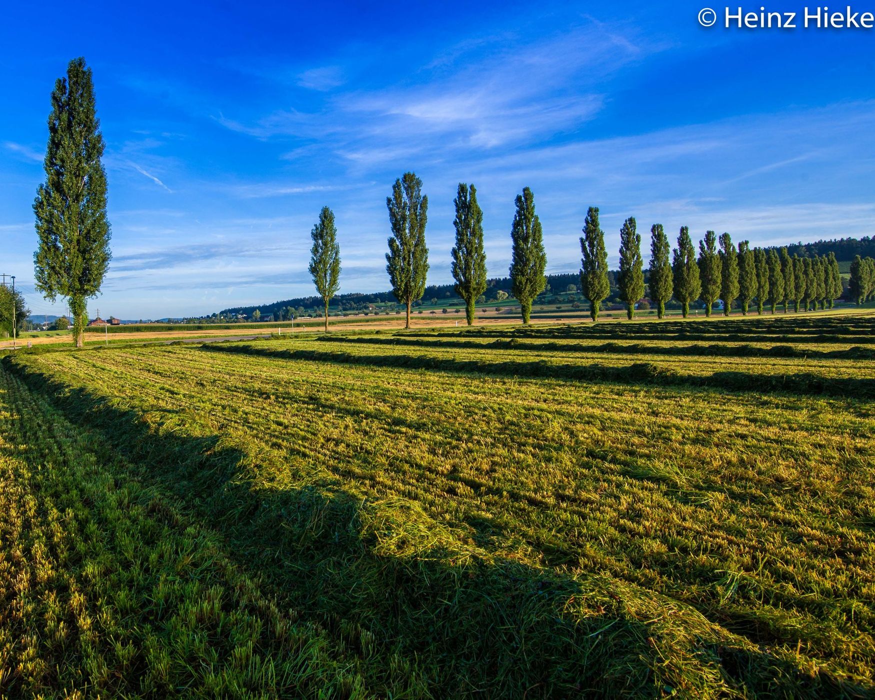 Stadel, Switzerland