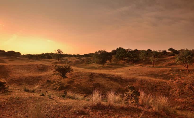 Sunrise on Nature Reserve Amsterdamse Waterleidingduinen