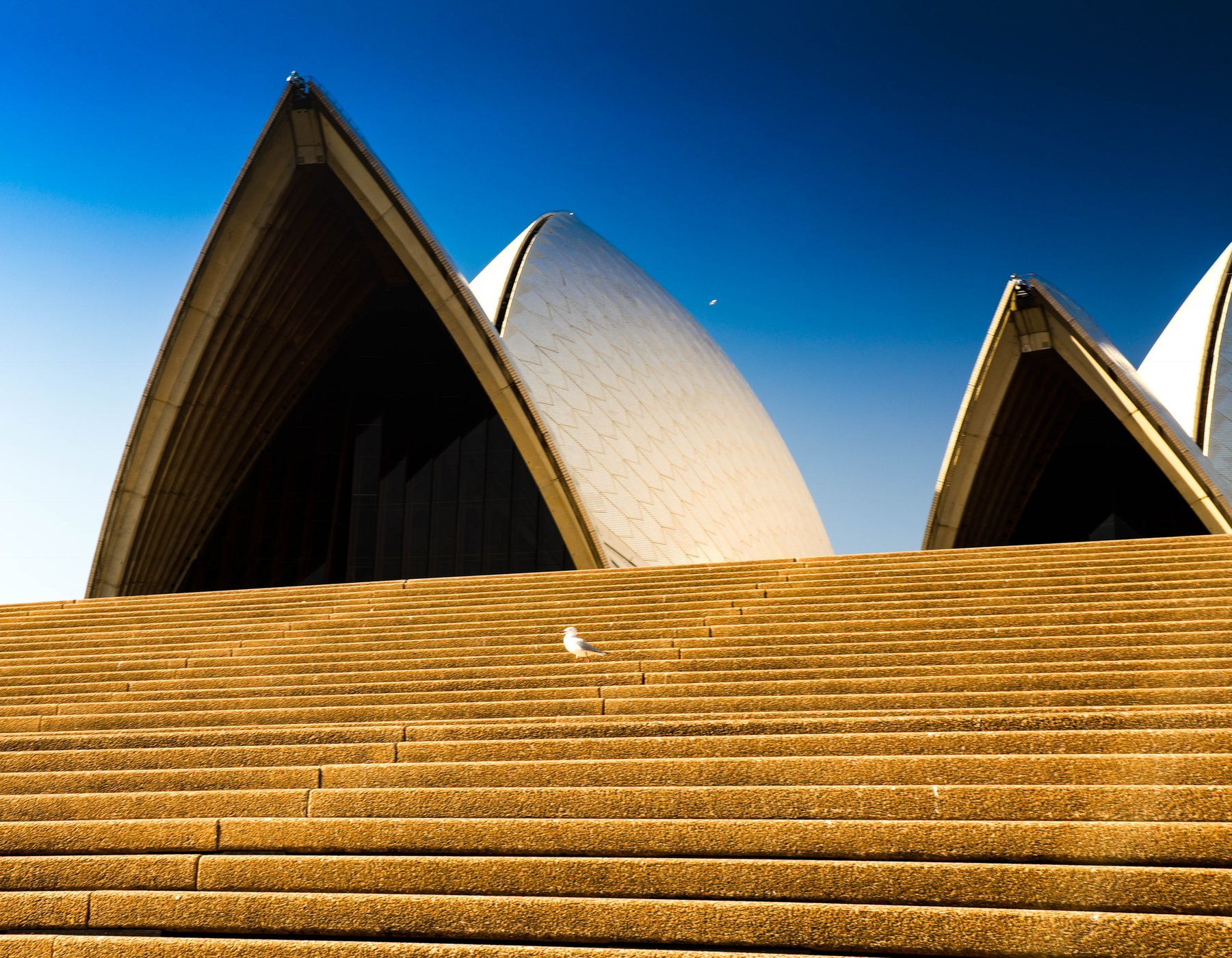 Sydney Opera House, Sydney, Australia