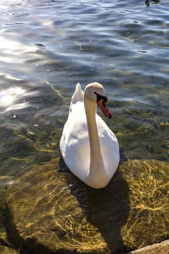 Tegernsee