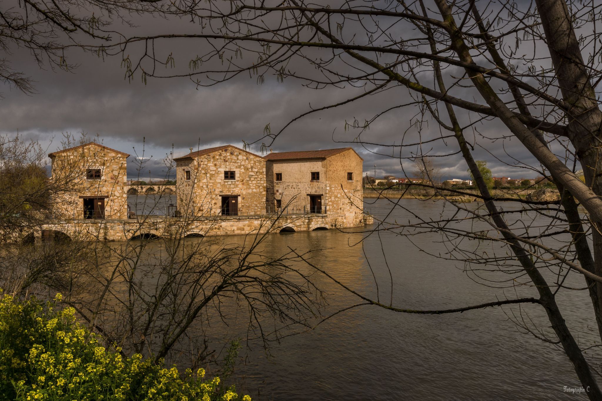 The Mills of Zamora, Spain