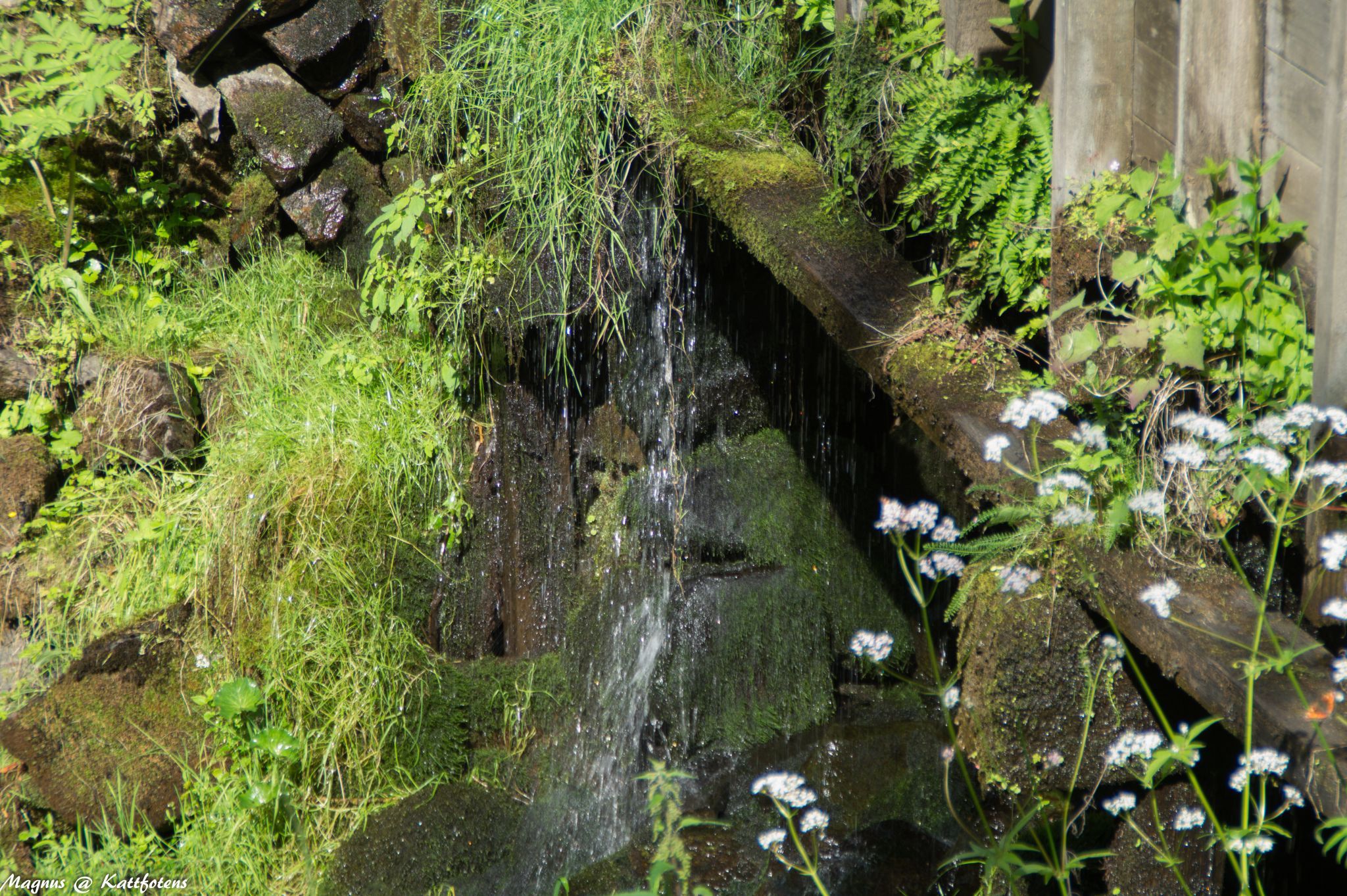 The old mill and waterfall at Röttle, Sweden