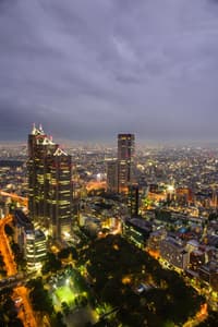 Tokio Cityscape View