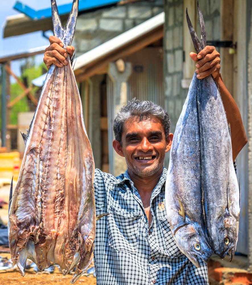 Valaichechena big catch, Sri Lanka