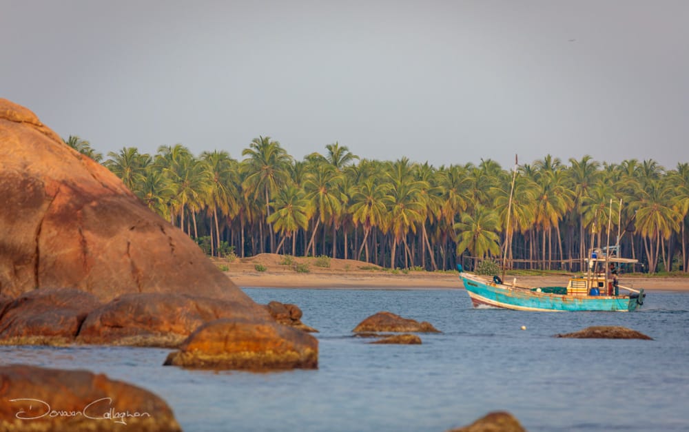 Valaichechena fishing boat returning, Sri Lanka
