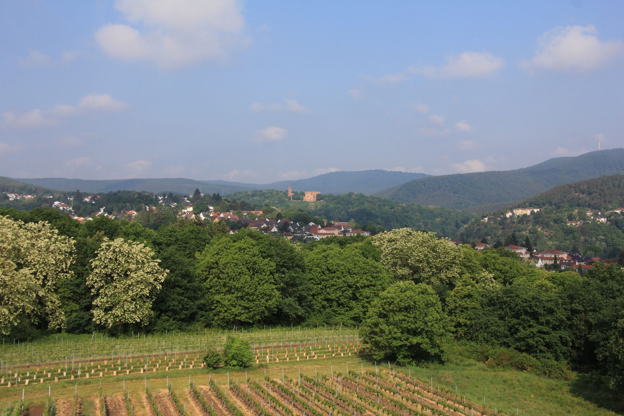 Viewpoint Flaggenturm, Germany
