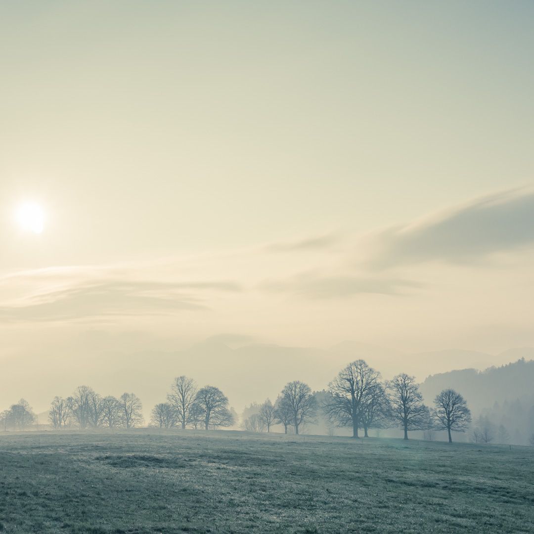 Waldweide, Switzerland