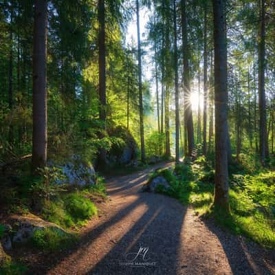 Zauberwald, Germany