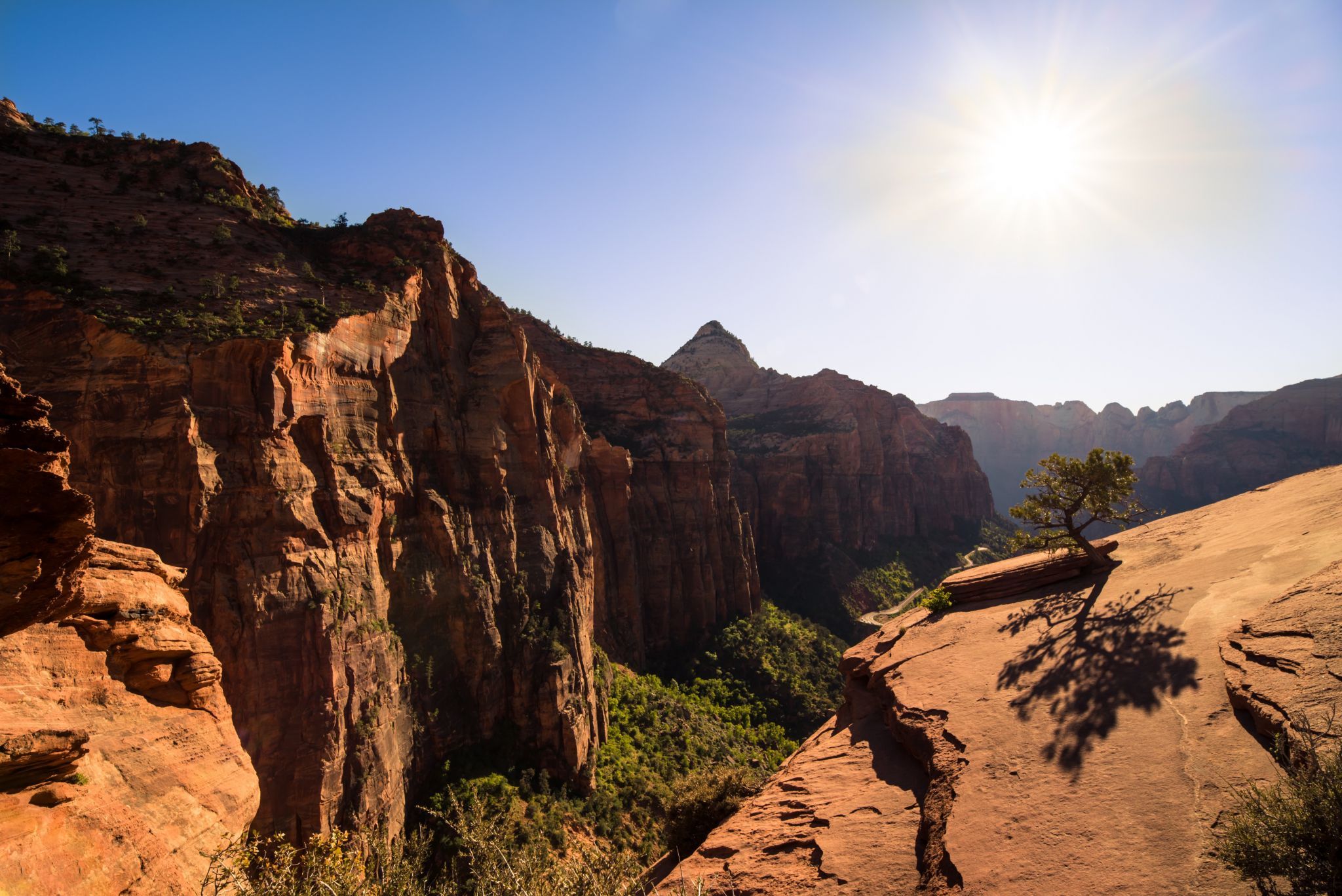 Canyon Overlook, Zion National Park, USA
