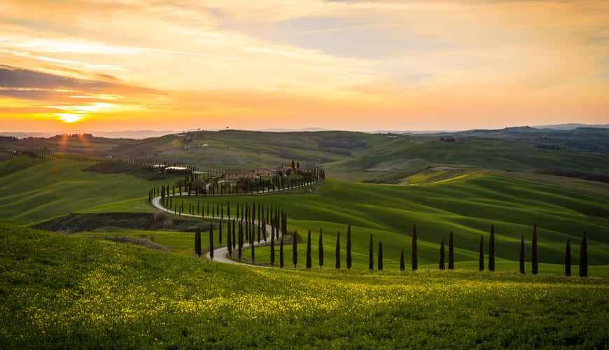 Agriturismo Baccoleno, Asciano