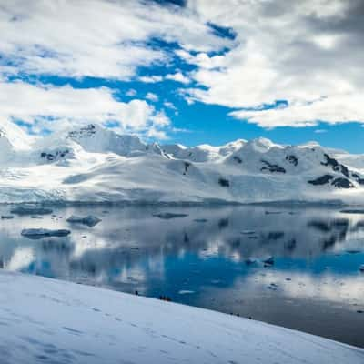 Back to the Ship Neko Harbour Antarctica, Antarctica