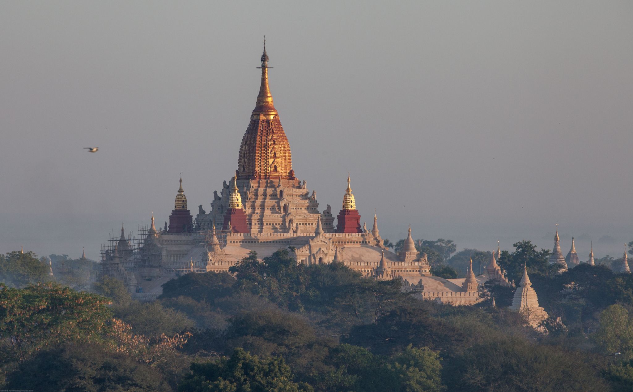 Bagan from Pyathada Temple, Myanmar