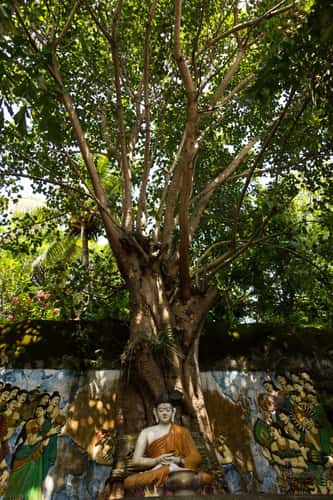 Brahma Vihara Arama