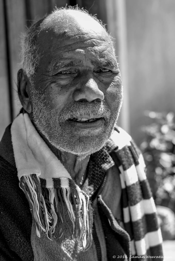 Close-up Portraits Of Tea Plantation Workers, Sri Lanka