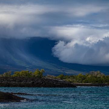 Cloud Rolling down the mountain Galapagos Islands, Ecuador