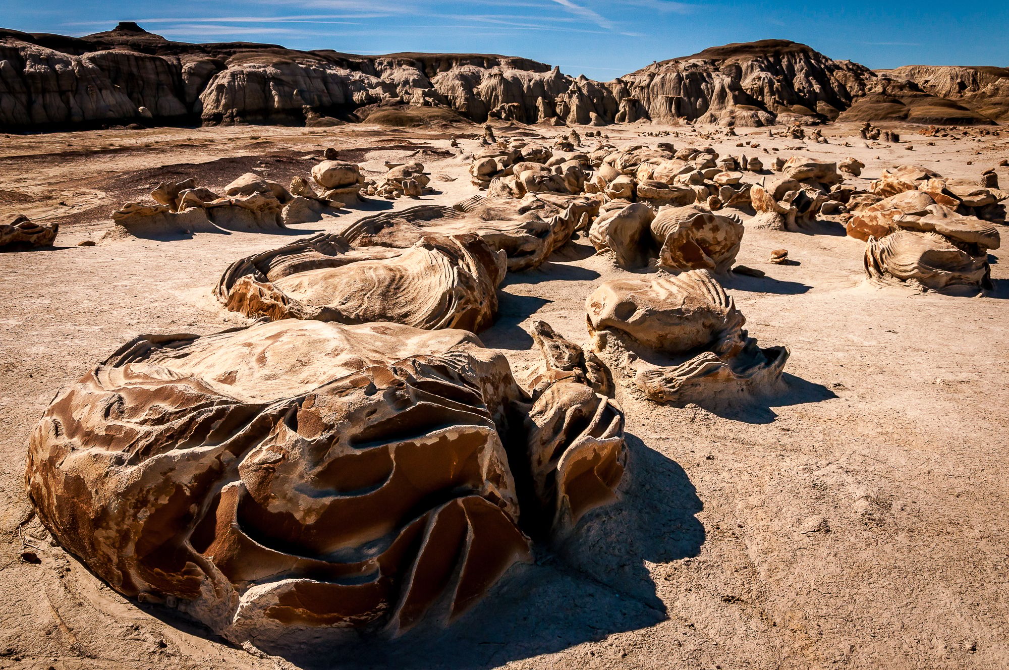 Cracked Eggs, USA