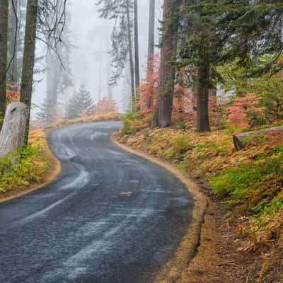 Crescent Meadow Rd, USA