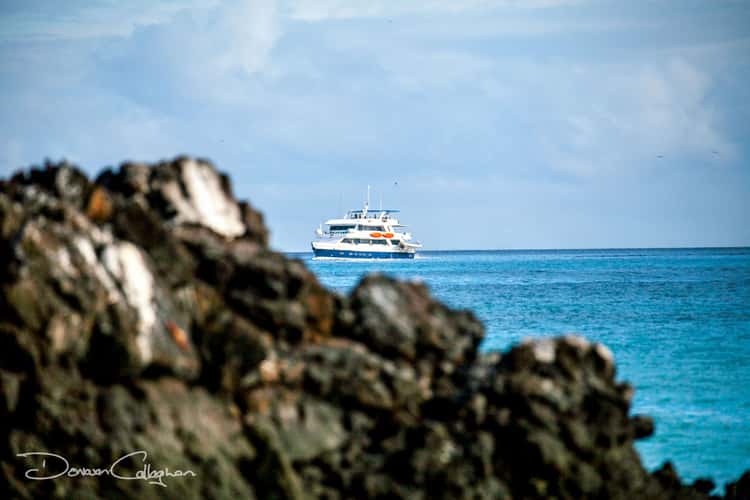 Cruise Boat for Galapagos Islands