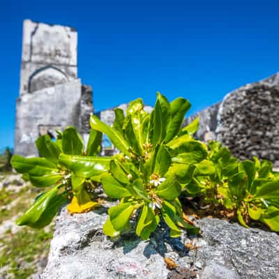 Falealupo church ruin, Savai'i, Samoa, Samoa