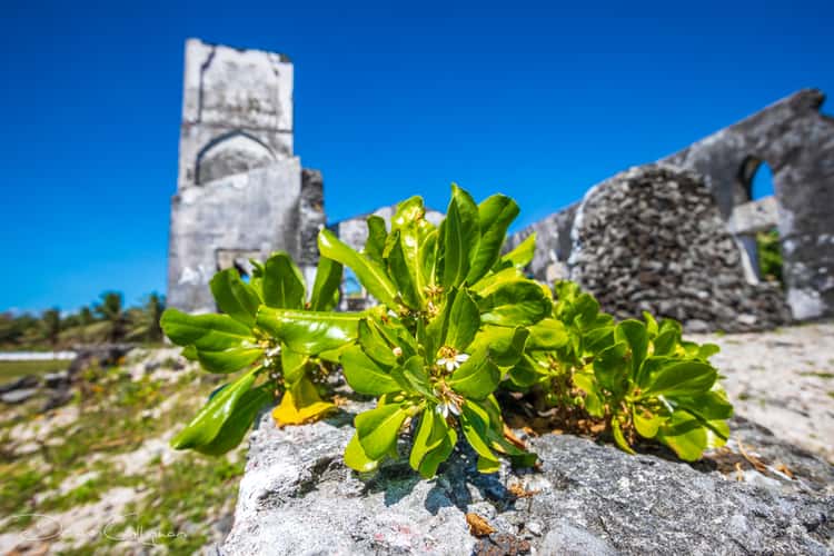 Falealupo church ruin, Savai'i, Samoa