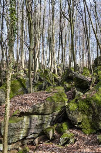Felsenmeer Hemer ( Ocean of Rocks )