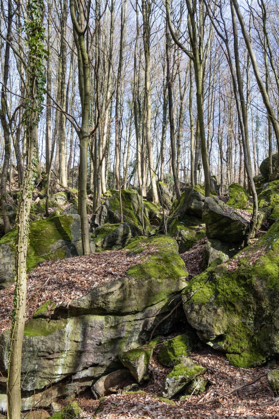 Felsenmeer Hemer ( Ocean of Rocks ), Germany