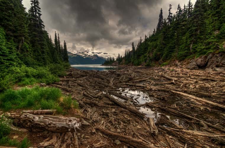 Garibaldi Lake