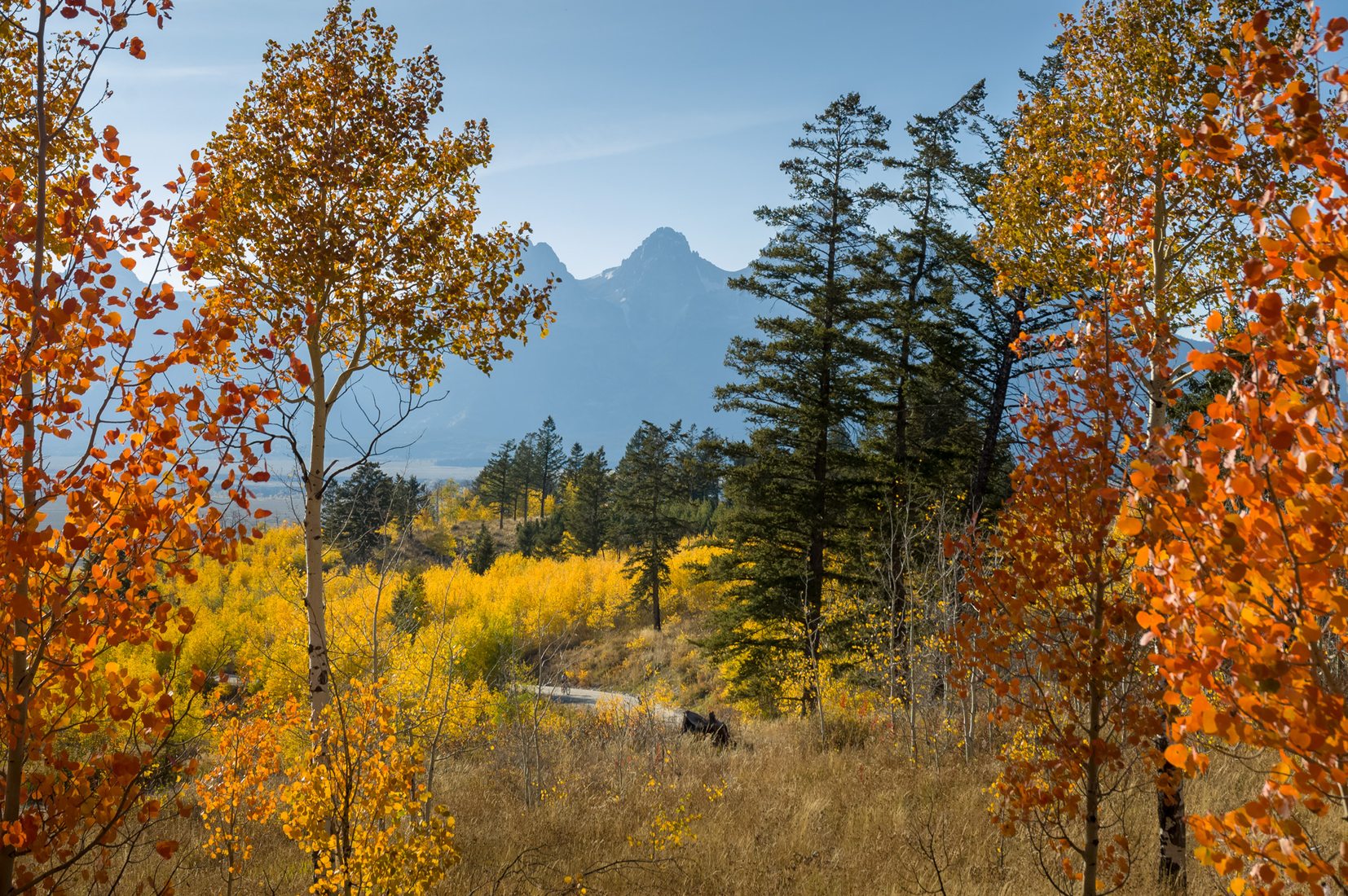 Grand Teton from Shadow Mountain Road, USA