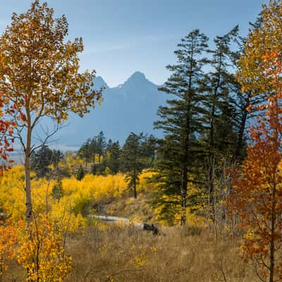 Grand Teton from Shadow Mountain Road, USA