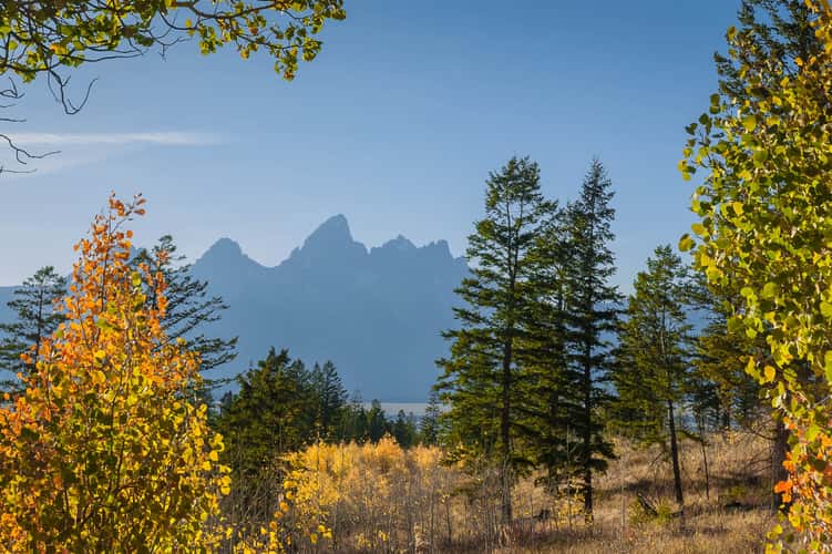 Grand Teton from Shadow Mountain Road