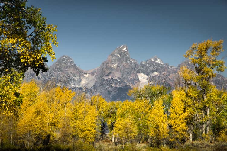 Grand Teton