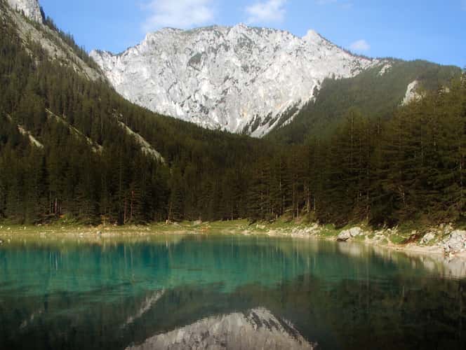 Grüner See