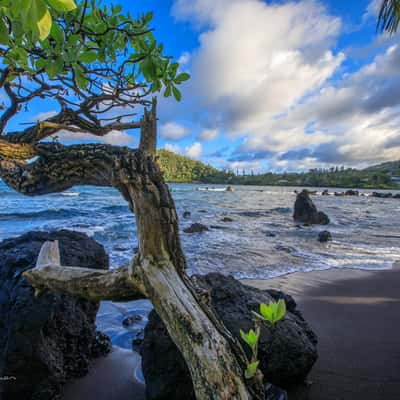 Hana Beach black sand, USA