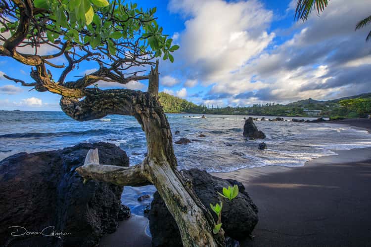 Hana Beach black sand